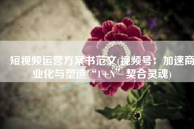 短视频运营方案书范文(视频号：加速商业化与塑造“1+N”契合灵魂)