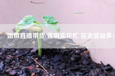 姐姐直播带货(莲姐卖花忙 花农受益多)