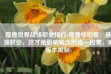 魔兽世界战场职业排行(魔兽怀旧服：最强职业，这才是影响输出的唯一因素，被版本限制)