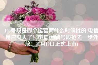 199号段是哪个运营商什么时候批的(电信用户爽大了！电信199新号段抢先一步外放：11月19日正式上市)