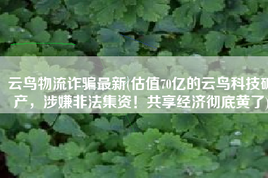 云鸟物流诈骗最新(估值70亿的云鸟科技破产，涉嫌非法集资！共享经济彻底黄了)