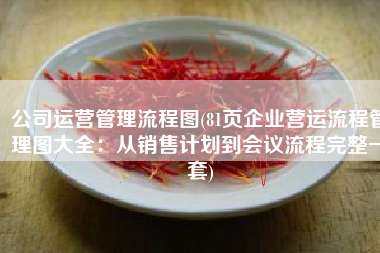 公司运营管理流程图(81页企业营运流程管理图大全：从销售计划到会议流程完整一套)