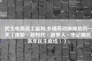 民生电商员工福利(乡镇劳动保障员的一天（体验·新时代·追梦人·牢记嘱托 筑牢民生底线①）)