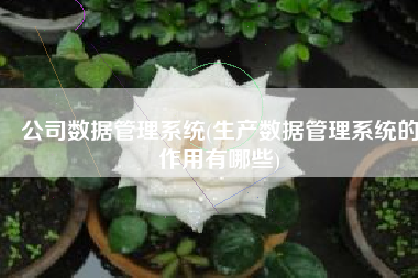 公司数据管理系统(生产数据管理系统的作用有哪些)