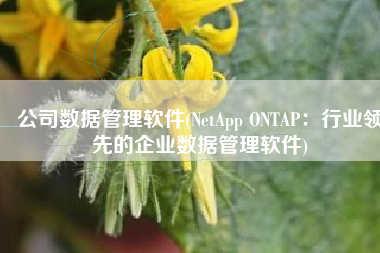 公司数据管理软件(NetApp ONTAP：行业领先的企业数据管理软件)