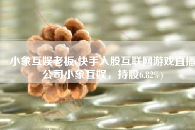 小象互娱老板(快手入股互联网游戏直播公司小象互娱，持股6.82%)