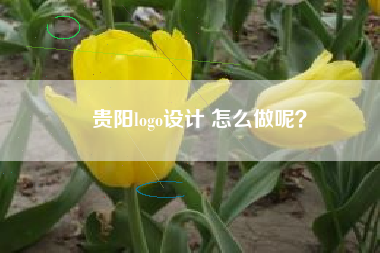 贵阳logo设计 怎么做呢？