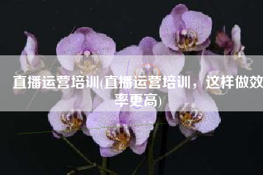 直播运营培训(直播运营培训，这样做效率更高)