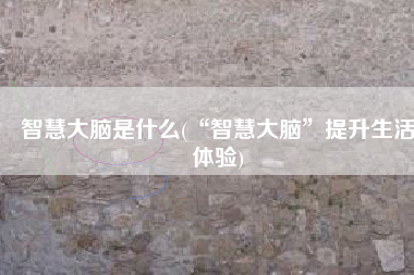 智慧大脑是什么(“智慧大脑”提升生活体验)