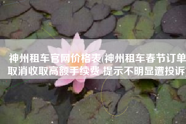 神州租车官网价格表(神州租车春节订单取消收取高额手续费 提示不明显遭投诉)