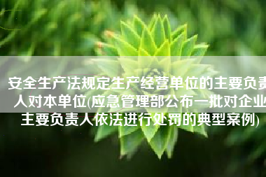 安全生产法规定生产经营单位的主要负责人对本单位(应急管理部公布一批对企业主要负责人依法进行处罚的典型案例)