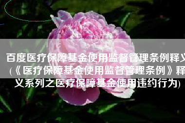 百度医疗保障基金使用监督管理条例释义(《医疗保障基金使用监督管理条例》释义系列之医疗保障基金使用违约行为)