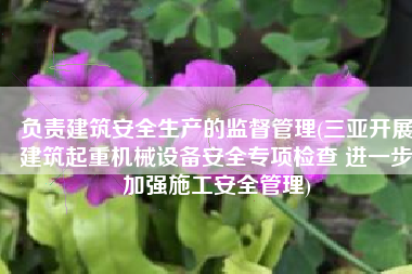 负责建筑安全生产的监督管理(三亚开展建筑起重机械设备安全专项检查 进一步加强施工安全管理)