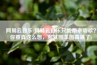 网易云音乐(网易云音乐只能用来听歌？你要真这么想，那就图羊图森破了)