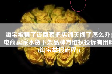 淘宝被骗了钱商家把店铺关闭了怎么办(电商卖家水货下架品牌方维权投诉有用吗(淘宝举报流程))