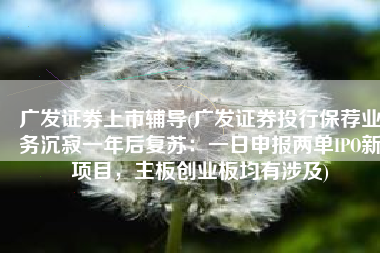 广发证券上市辅导(广发证券投行保荐业务沉寂一年后复苏：一日申报两单IPO新项目，主板创业板均有涉及)