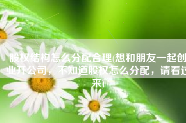 股权结构怎么分配合理(想和朋友一起创业开公司，不知道股权怎么分配，请看过来)