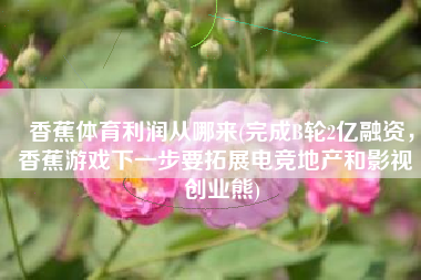 香蕉体育利润从哪来(完成B轮2亿融资，香蕉游戏下一步要拓展电竞地产和影视｜创业熊)