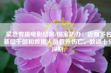 紧急救援电影结局(国家防办：近期多名基层干部和救援人员意外伤亡，教训十分深刻)