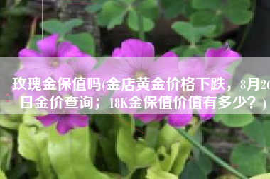 玫瑰金保值吗(金店黄金价格下跌，8月26日金价查询；18K金保值价值有多少？)