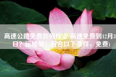 高速公路免费如何规定(高速免费到12月31日？运输部：符合以下条件，免费)