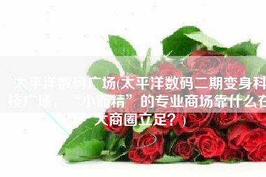 太平洋数码广场(太平洋数码二期变身科技广场，“小而精”的专业商场靠什么在大商圈立足？)
