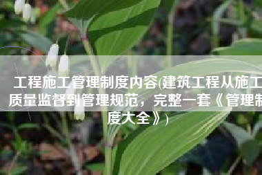 工程施工管理制度内容(建筑工程从施工质量监督到管理规范，完整一套《管理制度大全》)