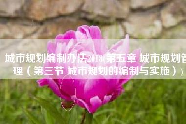 城市规划编制办法2018(第五章 城市规划管理（第三节 城市规划的编制与实施）)