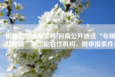 担保公司注册条件(河南公开遴选“专精特新贷”第二批合作机构，附申报条件)