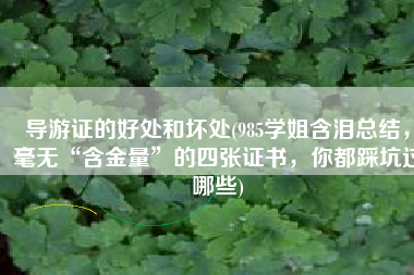 导游证的好处和坏处(985学姐含泪总结，毫无“含金量”的四张证书，你都踩坑过哪些)