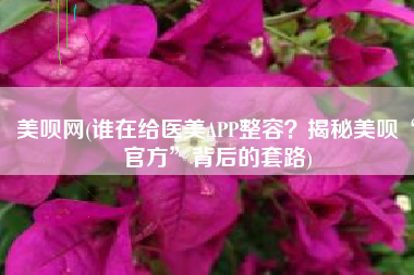 美呗网(谁在给医美APP整容？揭秘美呗“官方”背后的套路)