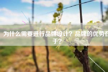 为什么需要进行品牌设计？品牌的优势在于？