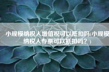 小规模纳税人增值税可以抵扣吗(小规模纳税人专票可以抵扣吗？)