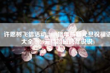 许愿树飞信活动(2019猪年最新元旦祝福语大全 2019元旦简短跨年说说)