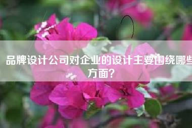 品牌设计公司对企业的设计主要围绕哪些方面？