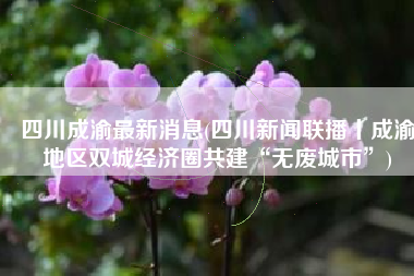 四川成渝最新消息(四川新闻联播丨成渝地区双城经济圈共建“无废城市”)
