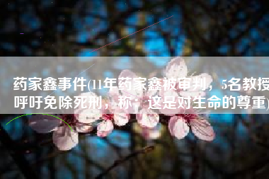 药家鑫事件(11年药家鑫被审判，5名教授呼吁免除死刑，称：这是对生命的尊重)