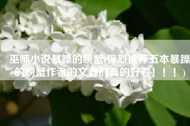巫师小说暴躁的螃蟹(强烈推荐五本暴躁的螃蟹作者的文真的真的好看！！！)