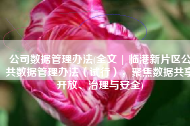 公司数据管理办法(全文 | 临港新片区公共数据管理办法（试行），聚焦数据共享开放、治理与安全)