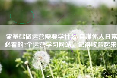 零基础做运营需要学什么(自媒体人日常必看的7个运营学习网站，记得收藏起来)
