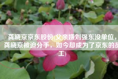 龚晓京京东股份(父亲嫌刘强东没单位，龚晓京被迫分手，如今却成为了京东的员工)