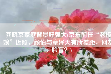 龚晓京家庭背景好强大(京东前任“老板娘”近照，颜值与章泽天有所差距，网友，脸盲？)