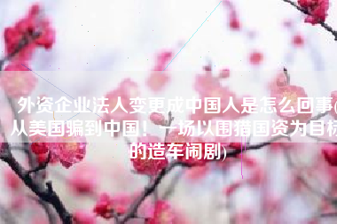 外资企业法人变更成中国人是怎么回事(从美国骗到中国！一场以围猎国资为目标的造车闹剧)