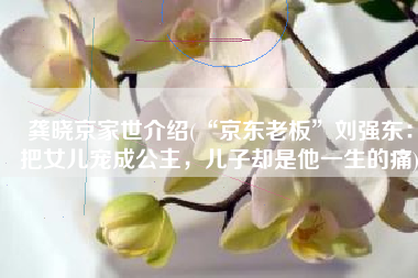 龚晓京家世介绍(“京东老板”刘强东：把女儿宠成公主，儿子却是他一生的痛)