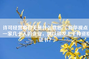 许可经营项目无是什么意思(（新华视点）一家几十人的企业，何以颁发上千种资格证书？)