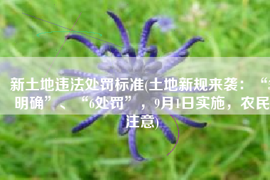 新土地违法处罚标准(土地新规来袭：“5明确”、“6处罚”，9月1日实施，农民注意)
