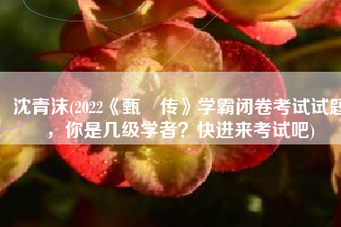 沈青沫(2022《甄嬛传》学霸闭卷考试试题，你是几级学者？快进来考试吧)