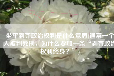坐牢剥夺政治权利是什么意思(通常一个人被判死刑，为什么要加一条“剥夺政治权利终身？”)