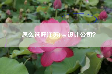 怎么选好江苏logo设计公司？