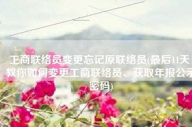 工商联络员变更忘记原联络员(最后11天！教你如何变更工商联络员、获取年报公示密码)